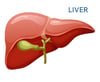 blog_hubpsot-Liver-1