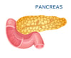 blog_hubpsot-Pancreas-1